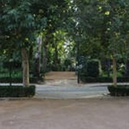 Fabuloso Piso Junto A Paseo De La Bomba 格拉纳达 外观 照片