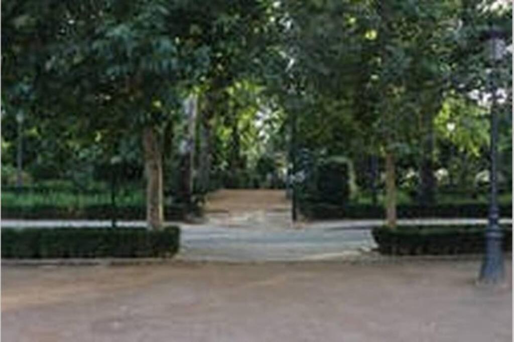 Fabuloso Piso Junto A Paseo De La Bomba 格拉纳达 外观 照片