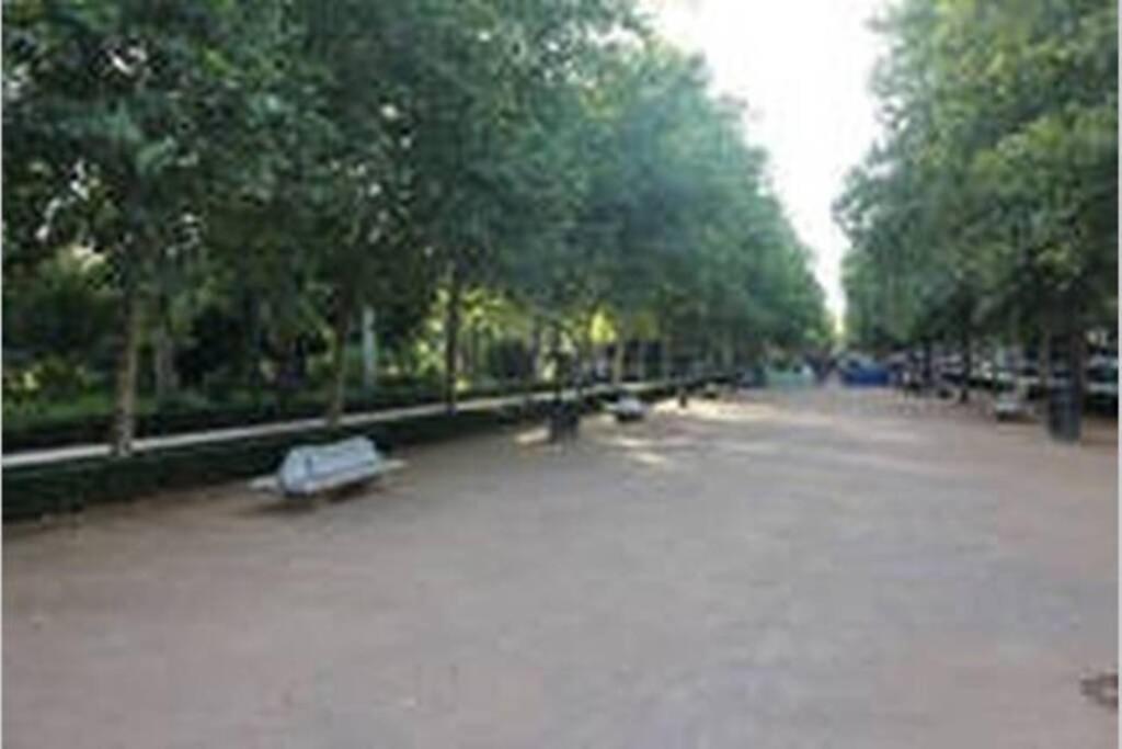 Fabuloso Piso Junto A Paseo De La Bomba 格拉纳达 外观 照片